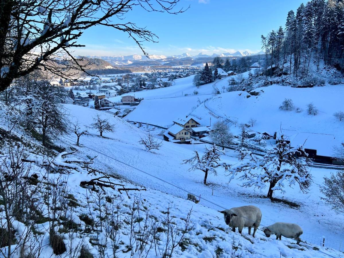Oberburg Apartment Im Emmental מראה חיצוני תמונה